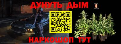 сатива Донской