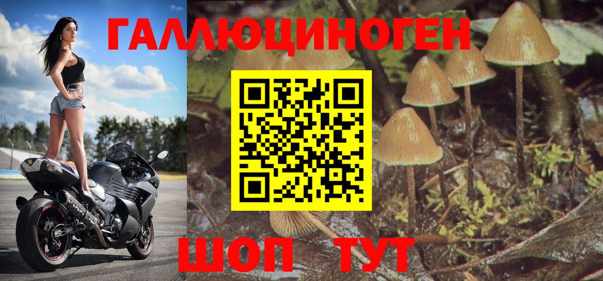 Псилоцибиновые грибы Psilocybine cubensis  Галлюциногенные грибы мухоморы  что такое наркотик  Вход с VPN  Мелеуз 